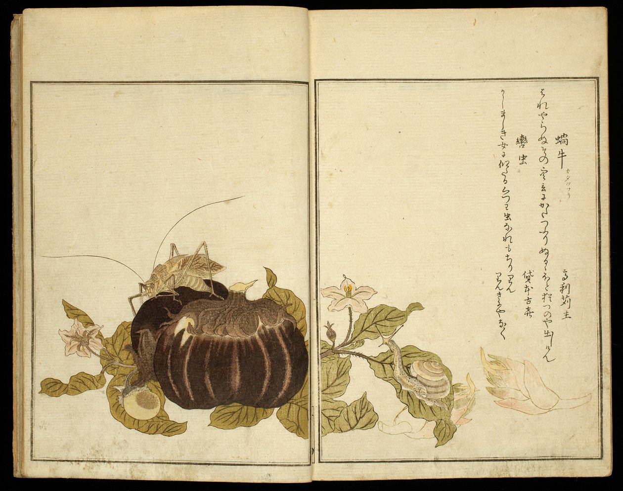 Képeskönyv: (Ehon mushi erabi) alkotó: Kitagawa Utamaro