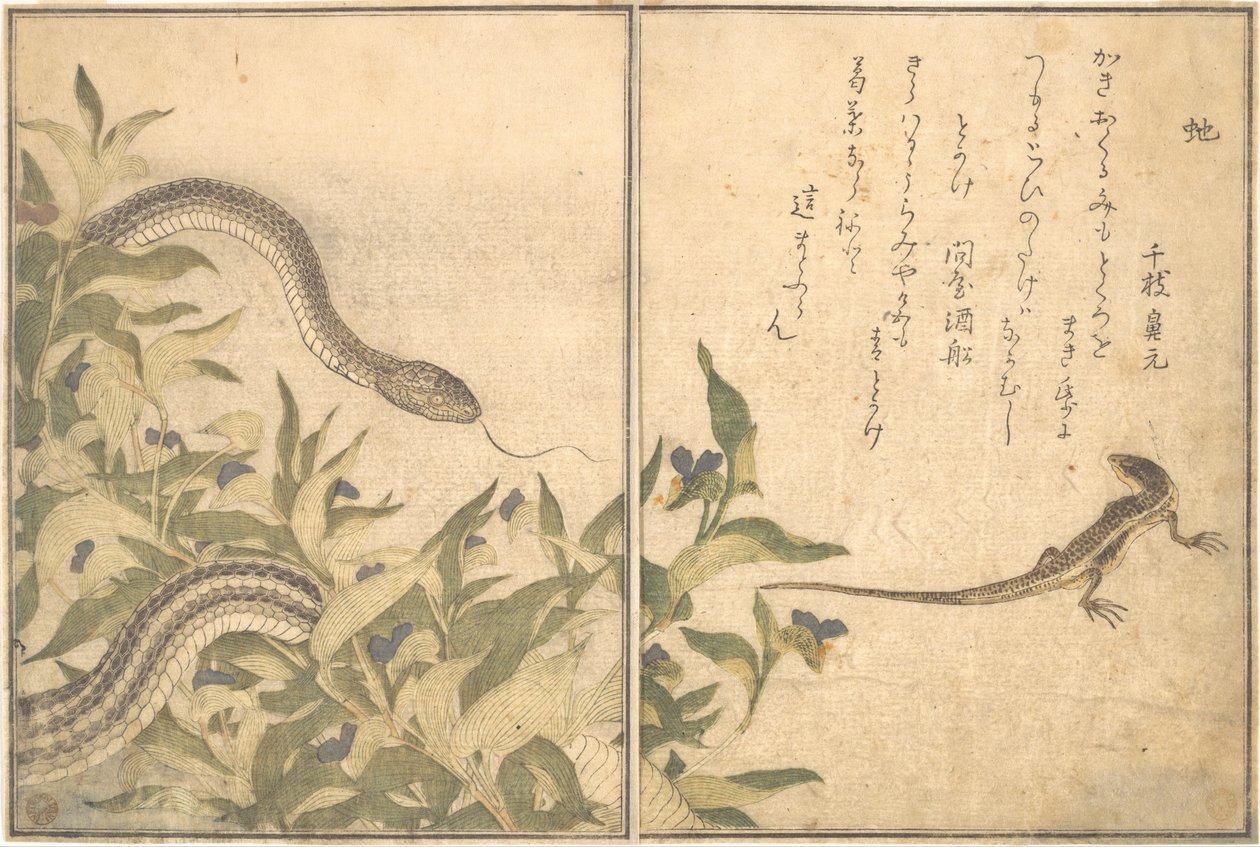 Patkánysikló (Hebi); gyík vagy szkink (Tokage), a Kúszó teremtmények képeskönyvéből (Ehon mushi erami) alkotó: Kitagawa Utamaro