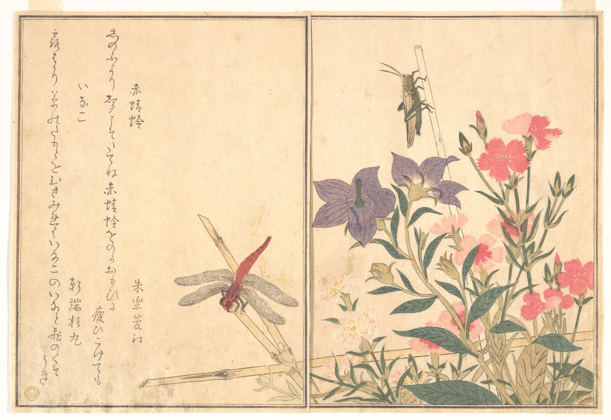 Vörös szitakötő (Akatonbo); sáska (Inago), a „Kúszó lények képeskönyve” (Ehon mushi erami) című műből alkotó: Kitagawa Utamaro