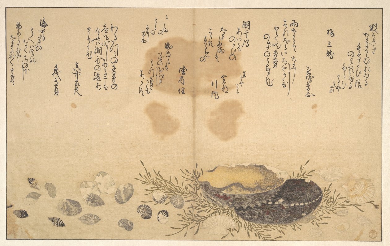 Kagylók a víz alatt alkotó: Kitagawa Utamaro