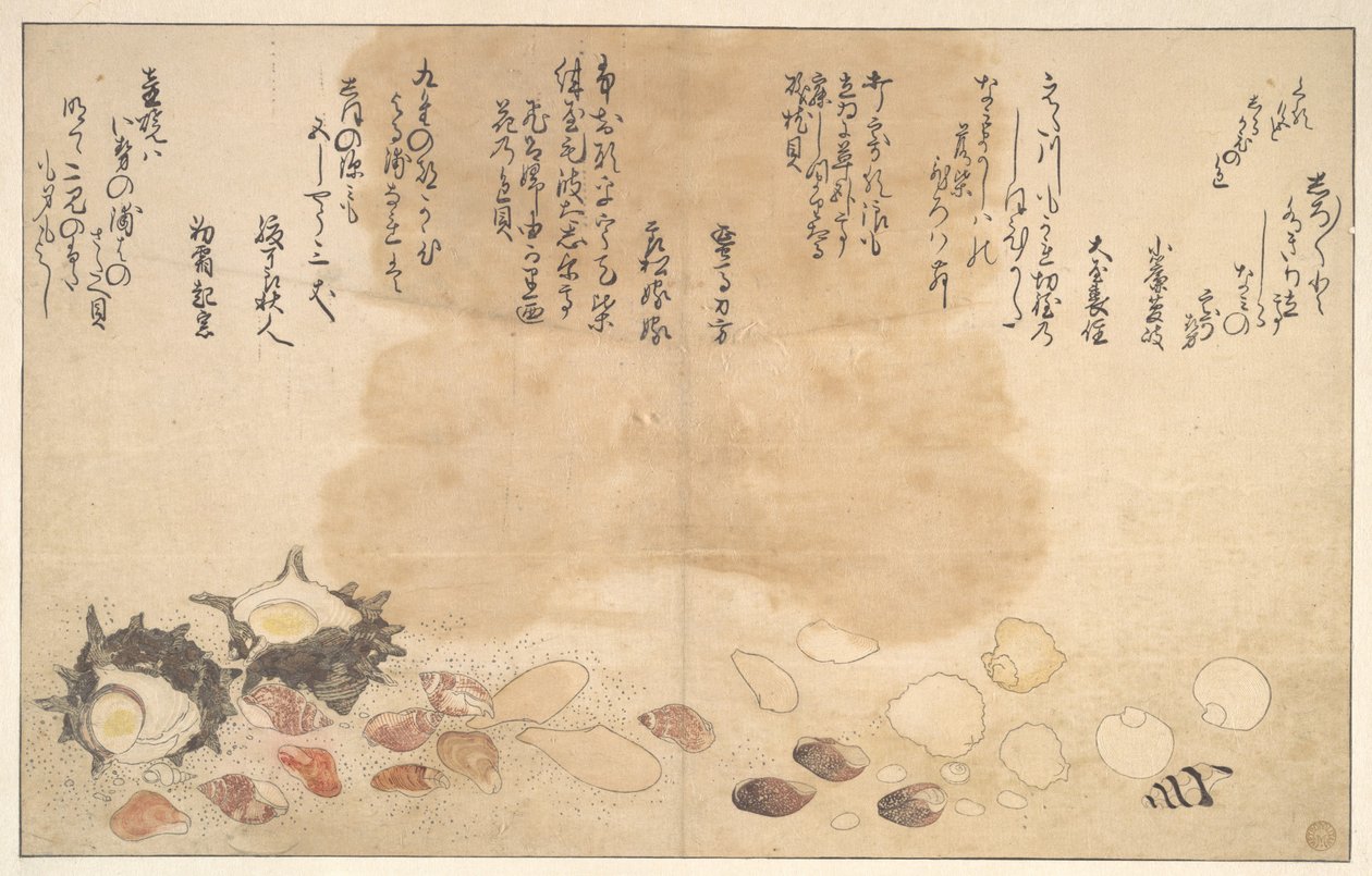 Kagylók a víz alatt alkotó: Kitagawa Utamaro