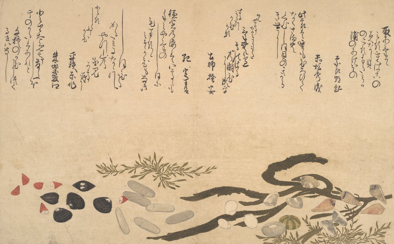 Kagylók a víz alatt, 1790. alkotó: Kitagawa Utamaro