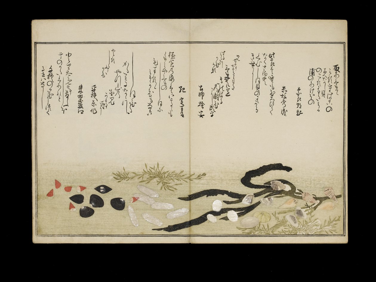 Shiohi no tsuto (Ajándékok az Ebb-dagályból), Shell Book néven ismert, 1789 (színes fatömbnyomat) alkotó: Kitagawa Utamaro