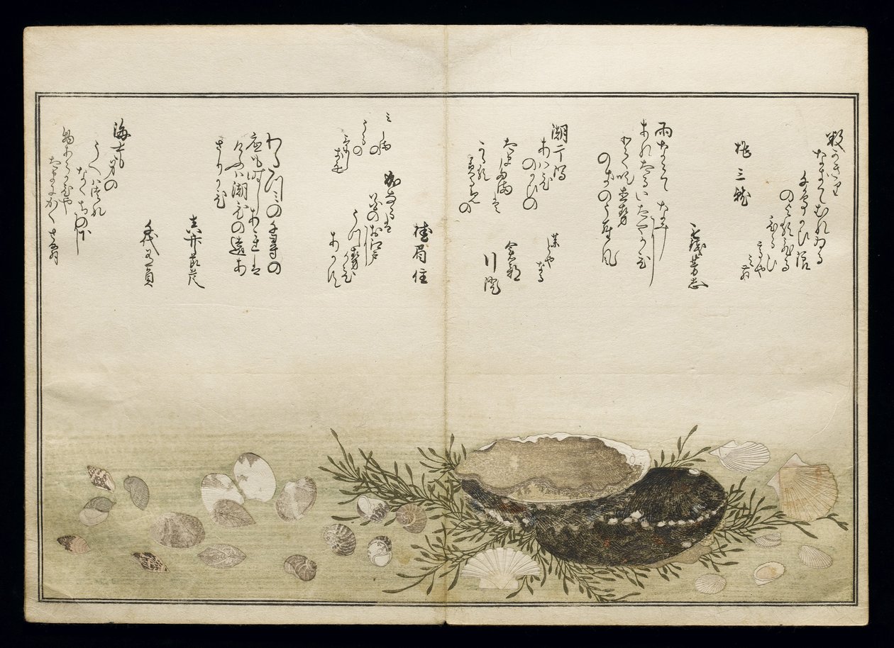 Shiohi no tsuto (Ajándékok az Ebb-dagályból), Shell Book néven ismert, 1789 (színes fatömbnyomat) alkotó: Kitagawa Utamaro