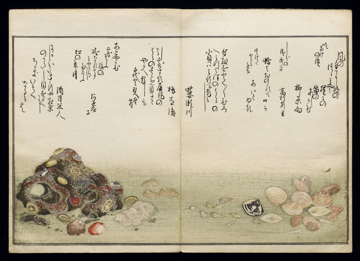 Shiohi no tsuto (Ajándékok az Ebb-dagályból), Shell Book néven ismert, 1789 (színes fatömbnyomat) alkotó: Kitagawa Utamaro