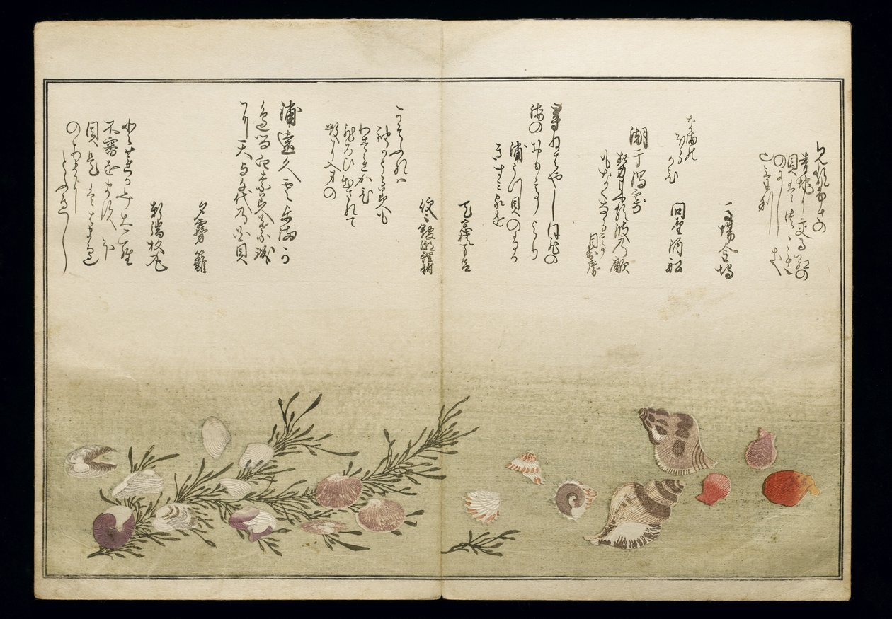 Shiohi no tsuto (Ajándékok az Ebb-dagályból), Shell Book néven ismert, 1789 (színes fatömbnyomat) alkotó: Kitagawa Utamaro