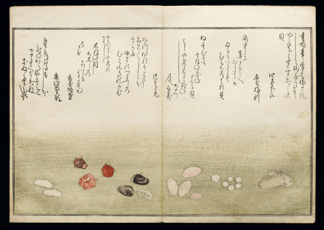 Shiohi no tsuto (Ajándékok az Ebb-dagályból), Shell Book néven ismert, 1789 (színes fatömbnyomat) alkotó: Kitagawa Utamaro