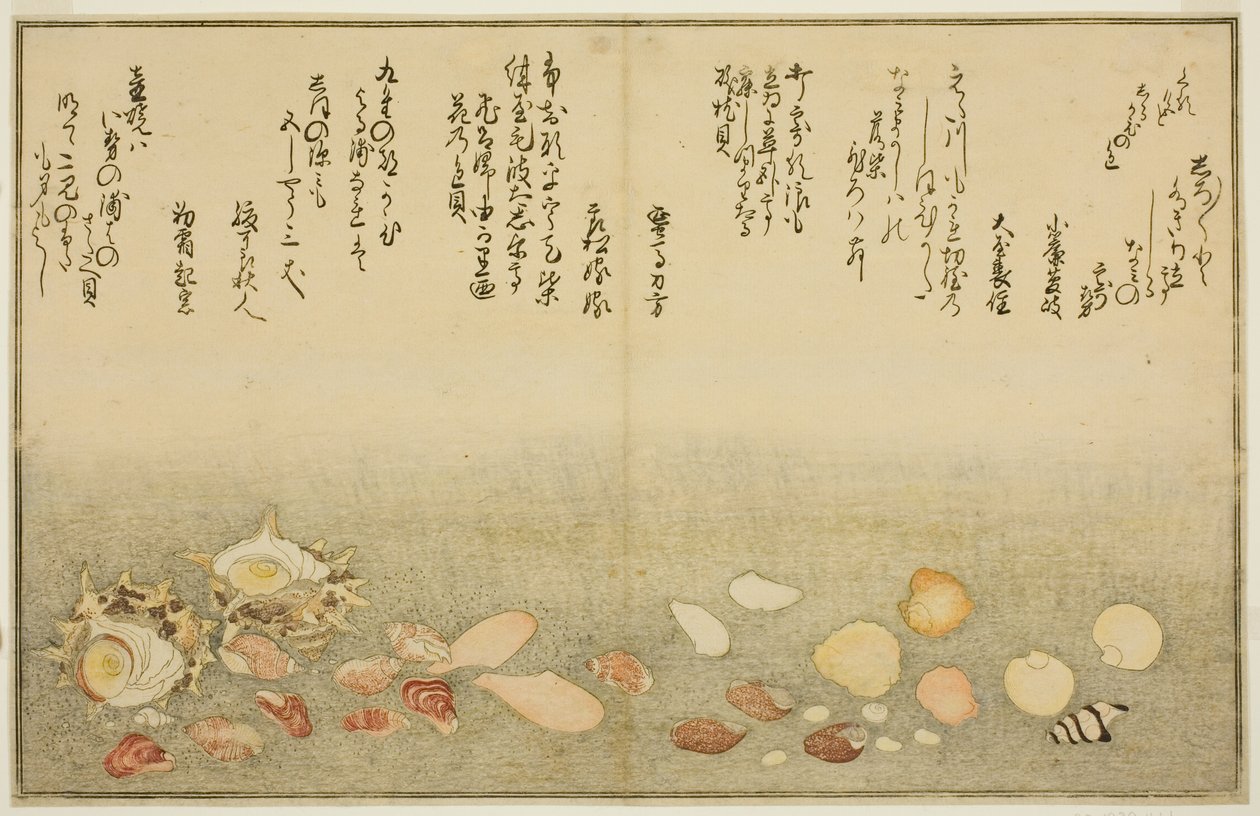 Fehér kívül, ráncok a felszínen, Maclar Street, Yellow Street, Other Street, Sadaei, from tee st latte d book o k "Technique fts from tee eh b on the ground (bracts of the sea)" alkotó: Kitagawa Utamaro