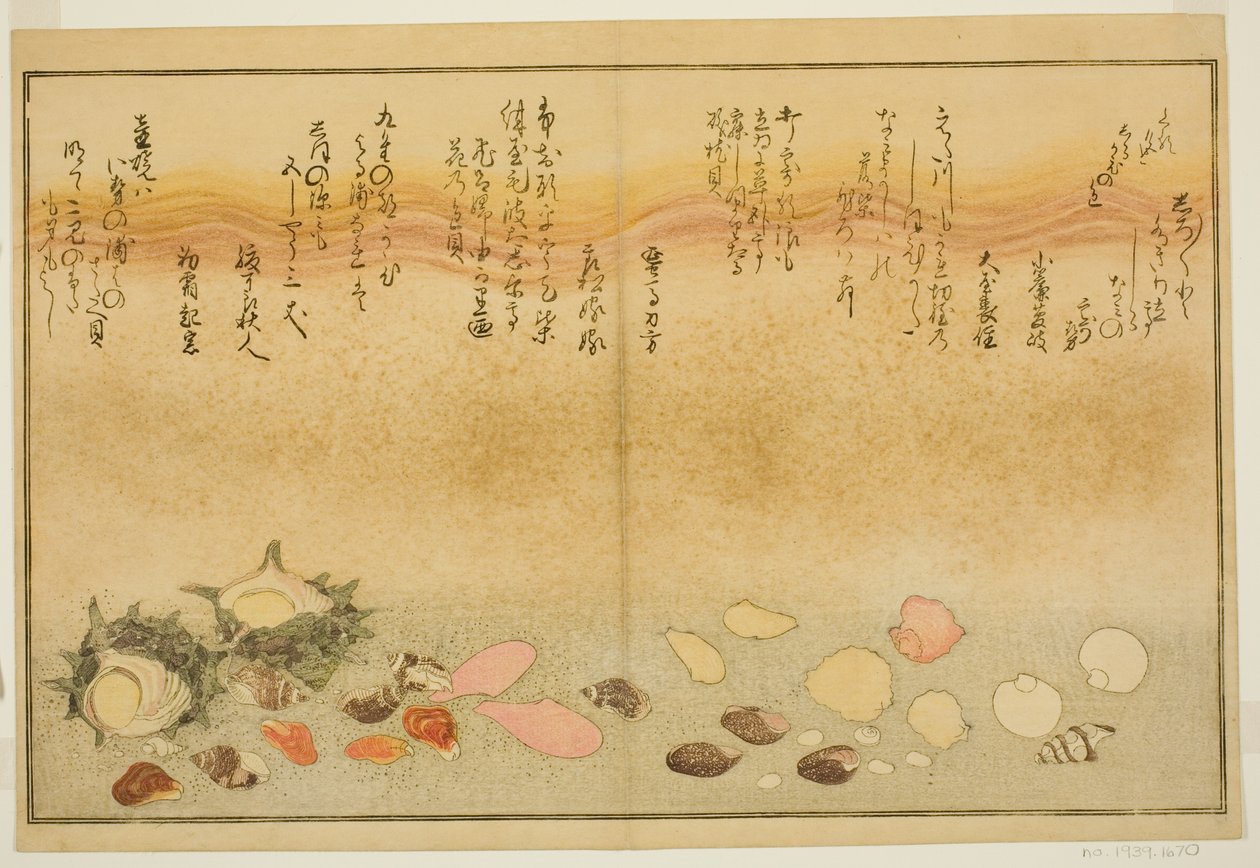 Shirato, Margashiwa, Maclar Street, Iroh Street, Other Street, Sadaegai, a tee st latte d book o k ``Technika fts from tee b a földön (dagály-levelek)