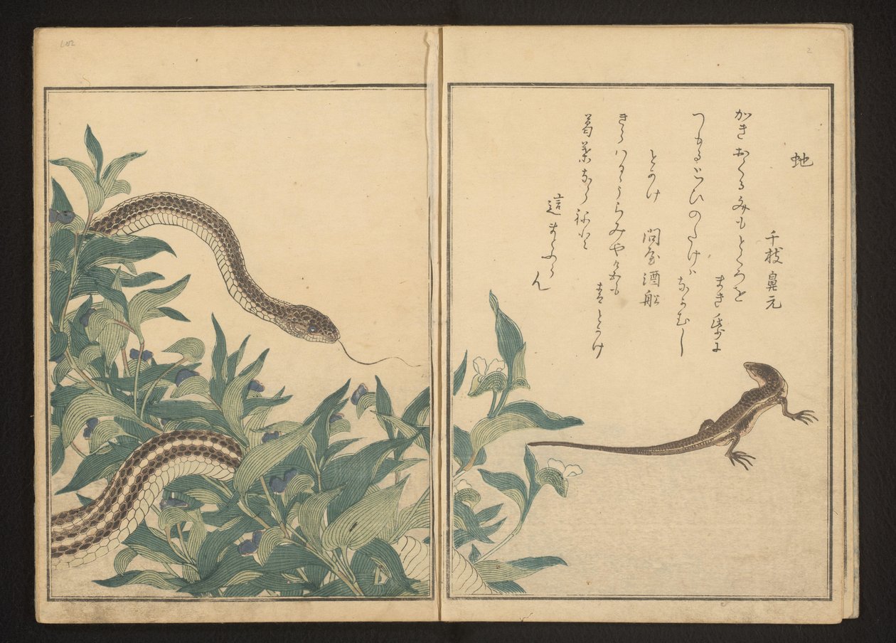 Kígyó és gyík egy bokor mellett alkotó: Kitagawa Utamaro