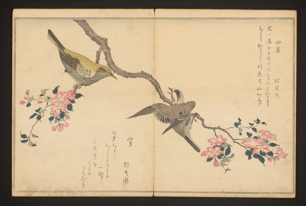 Cinege és bokor poszáta alkotó: Kitagawa Utamaro
