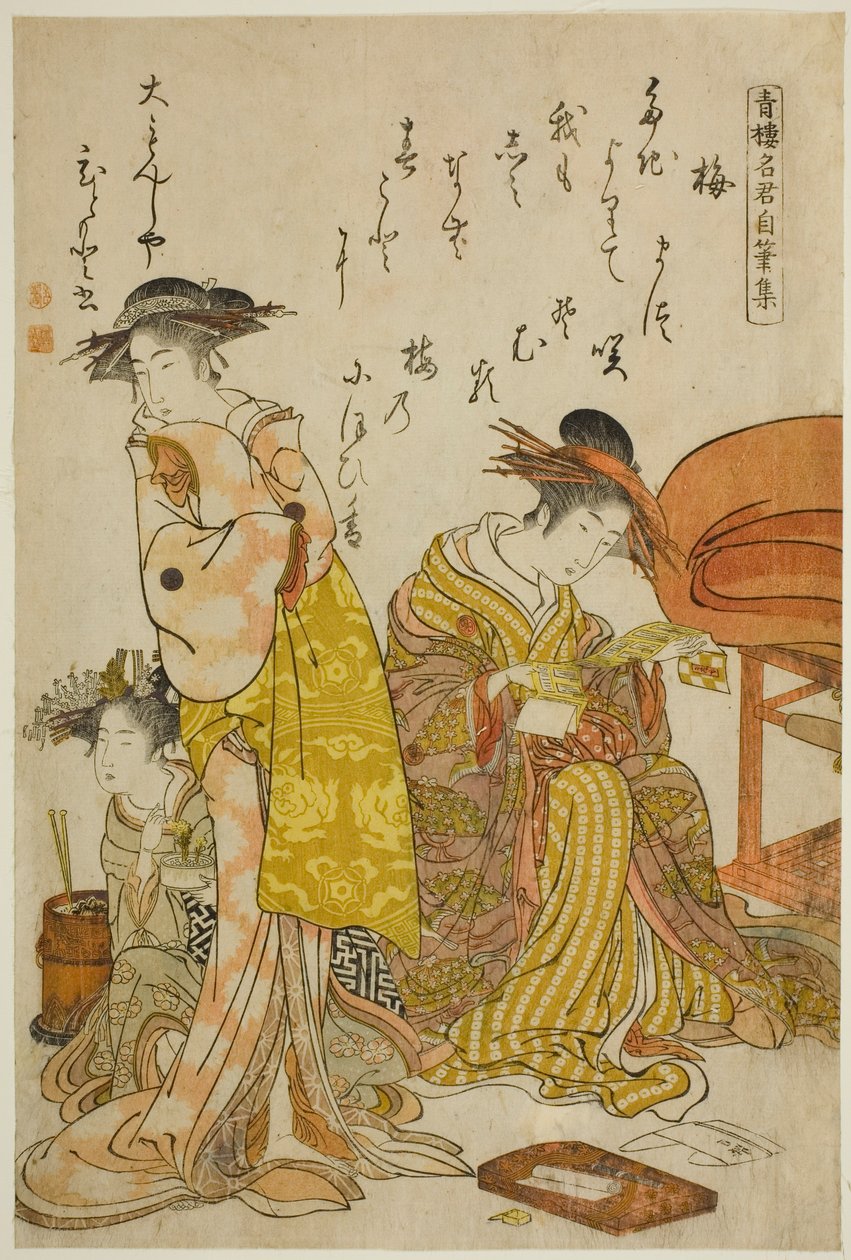 A Daimonjiya udvarhölgye, Hitomoto a "Comparing New Beauties of the Yoshiwara – A Mirror of Your Own Writings (Keisei shin bijin awase jikihitsu kagami)" című albumról. alkotó: Kitao Masanobu