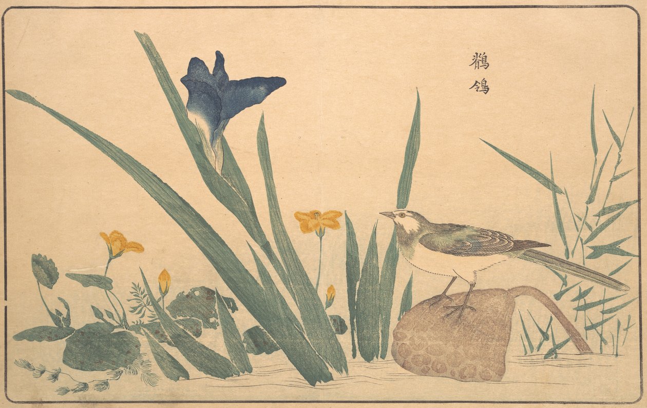 A körös csóró, 1789. alkotó: Kitao Masayoshi