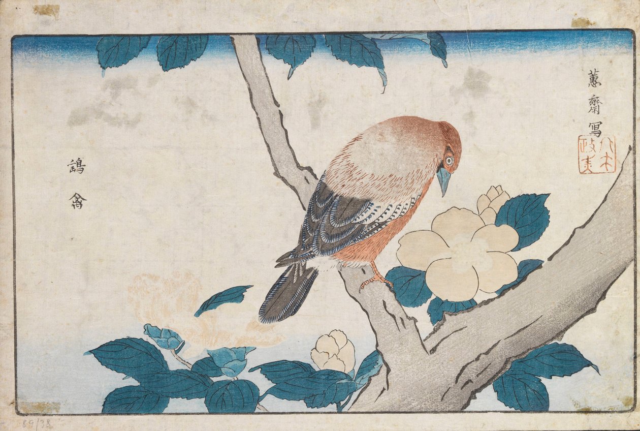 Cím nélkül alkotó: Kitao Masayoshi
