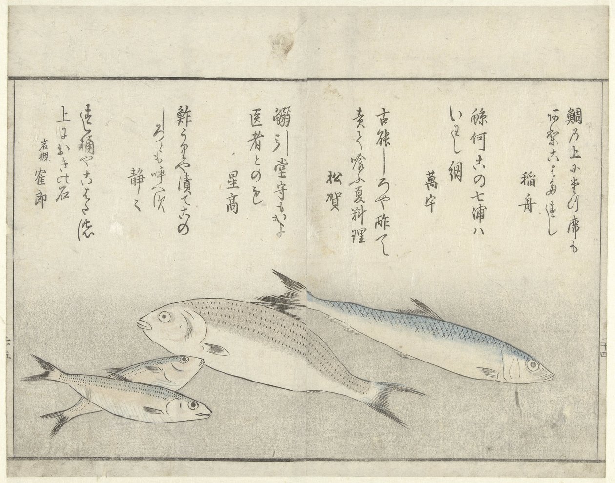 Négy hal alkotó: Kitao Masayoshi