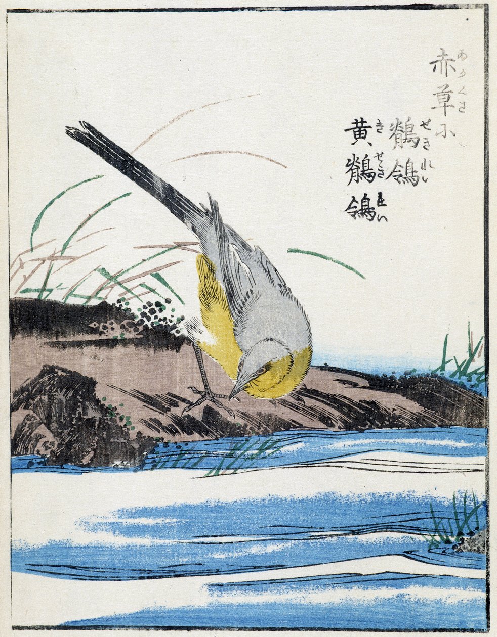 Madár. Kitao Kosuisai japán rajza alkotó: Kitao Shigemasa