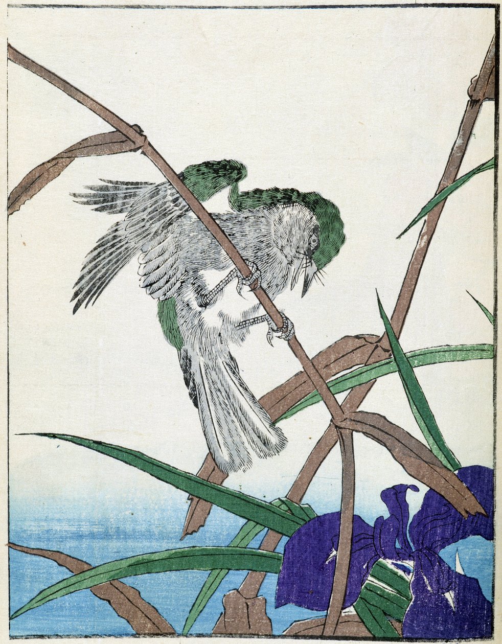 Madár a fán. Kitao Kosuisai japán rajza alkotó: Kitao Shigemasa