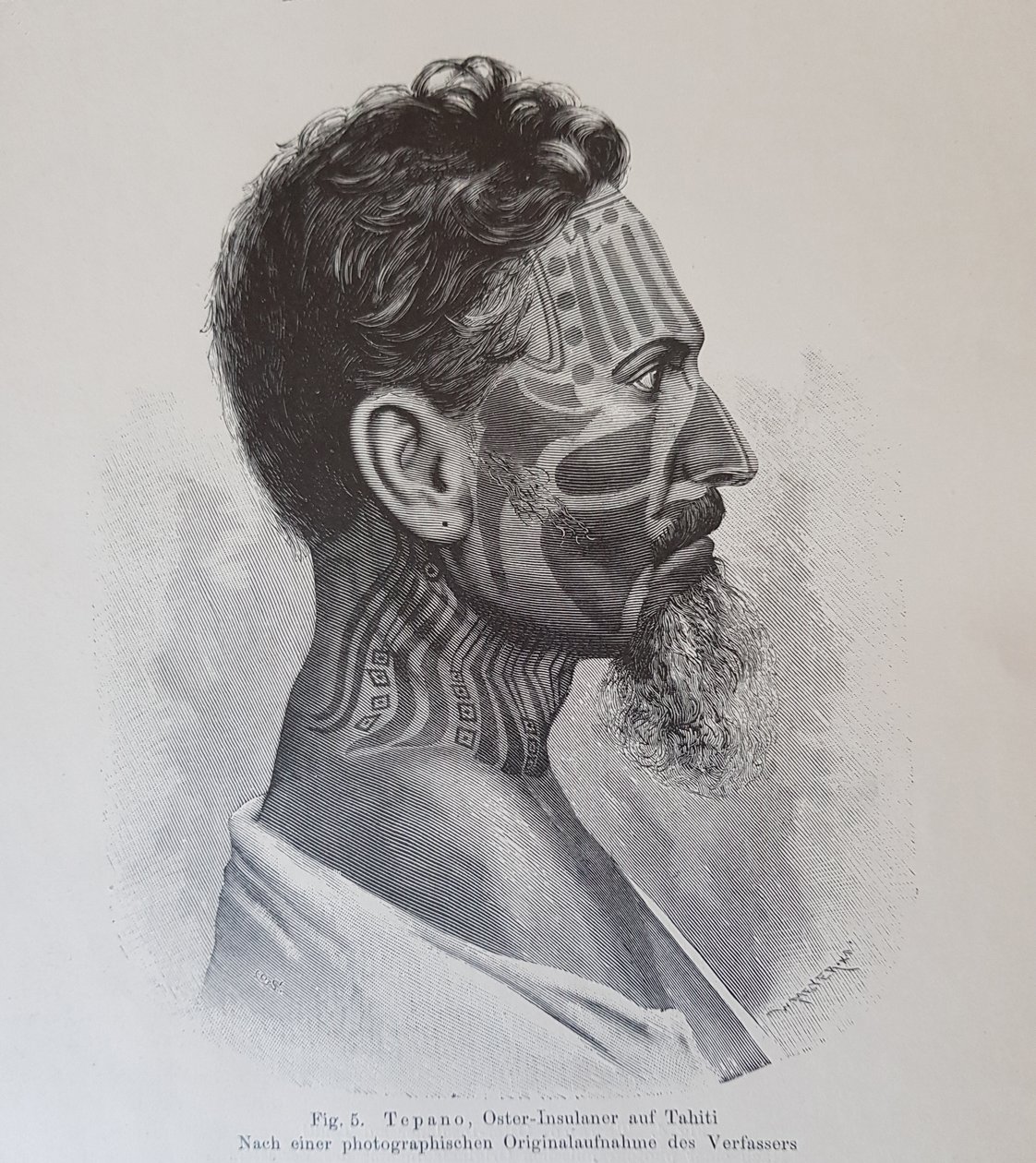 Juan Tepano, illusztráció a Hjalmar Stolpe "A húsvét-szigetiek tetoválásáról" című művéből, 1899 alkotó: Knut Hjalmar Stolpe