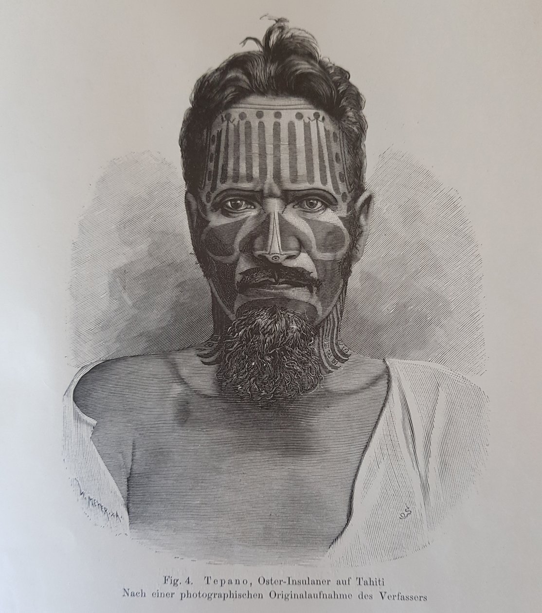 Juan Tepano, illusztráció a Hjalmar Stolpe „A húsvét-szigetiek tetoválásáról” című művéből alkotó: Knut Hjalmar (after) Stolpe