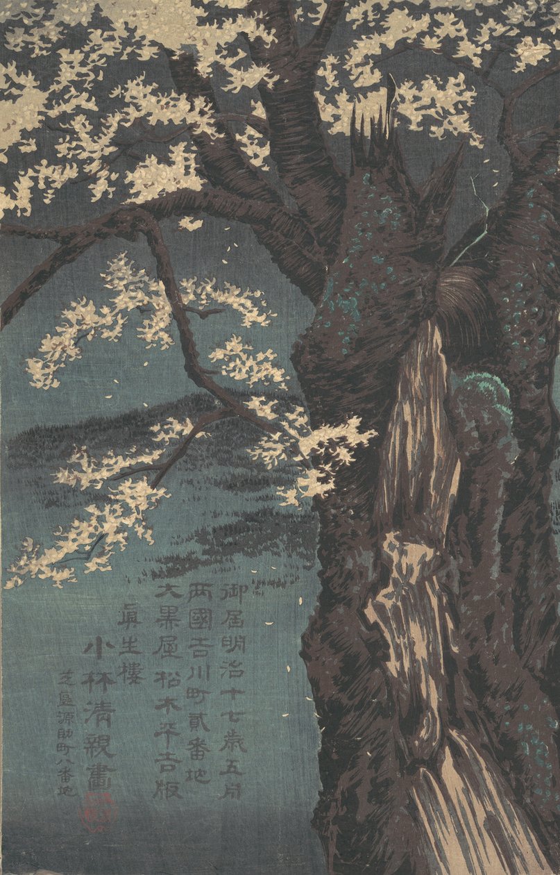 Cseresznyefa, 1874-ben. alkotó: Kobayashi Kiyochika