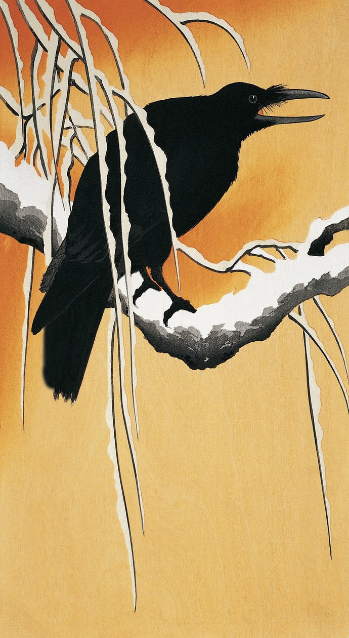 Egy ágon ücsörgő holló (Corvus corax) alkotó: Ohara Koson