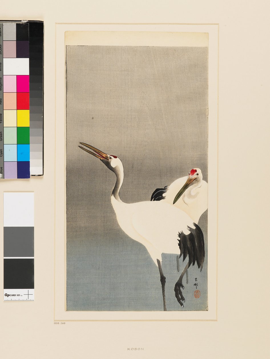 Két japán daru egy tóban gázolva alkotó: Koson Ohara