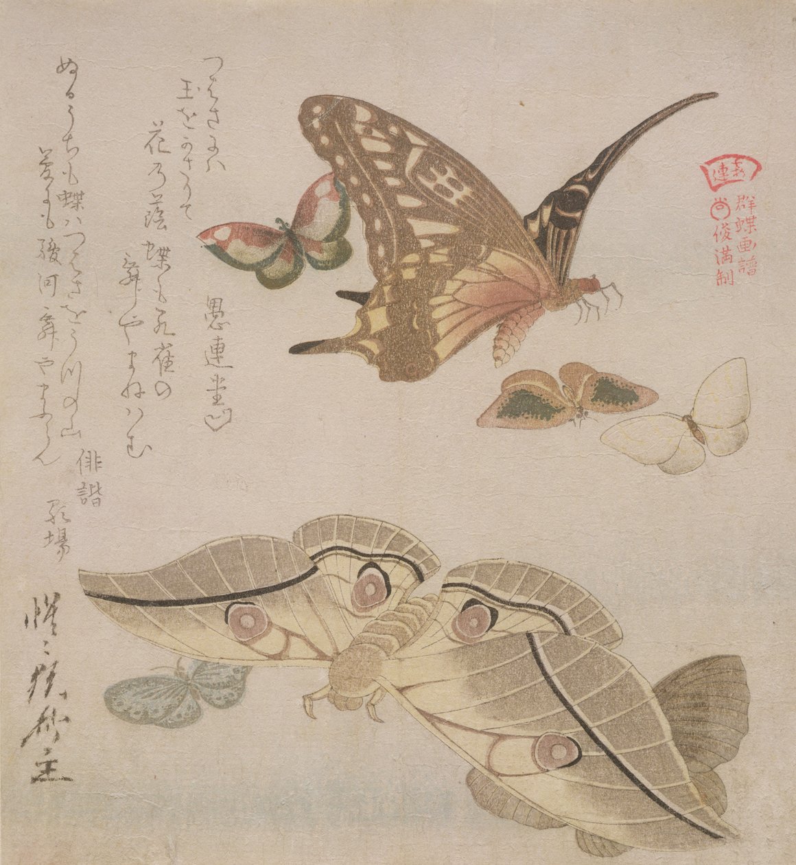 „Tsubasa ni wa...” (vers első sora) a „Pillangók illusztrált gyűjteménye” sorozatból, 1804-1818 körül (fatömbnyomat) alkotó: Kubo Shumman