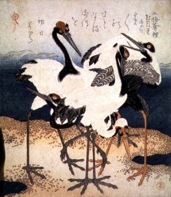 Öt fehér tollú daru különböző pózokban egy homokfövenyen, a Három szirom sorozatból, 1816 körül (tinta) alkotó: Kubo Shumman