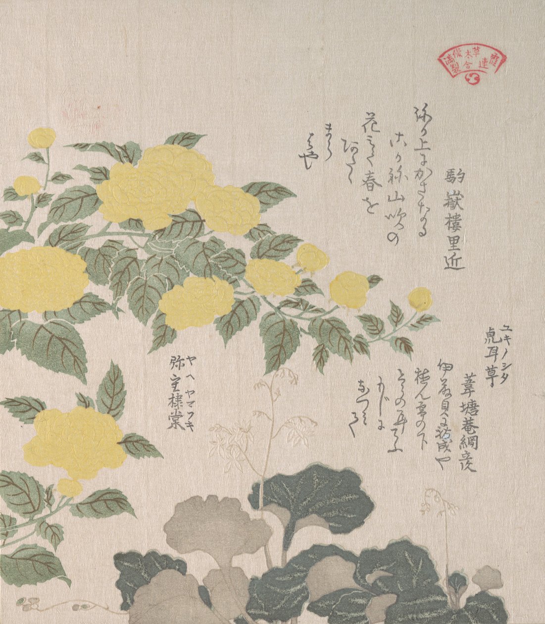 Corchorus vagy Yellow Rose and Creeping Saxifrage, 19. század. alkotó: Kubo Shunman