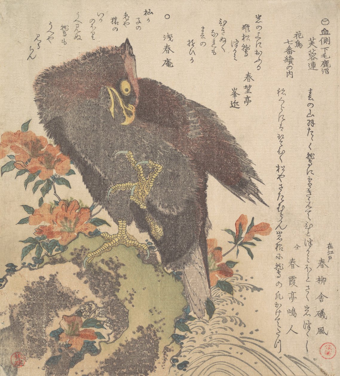 Eagle on a Rock, Virágzó Azálea, kb. 1800. alkotó: Kubo Shunman
