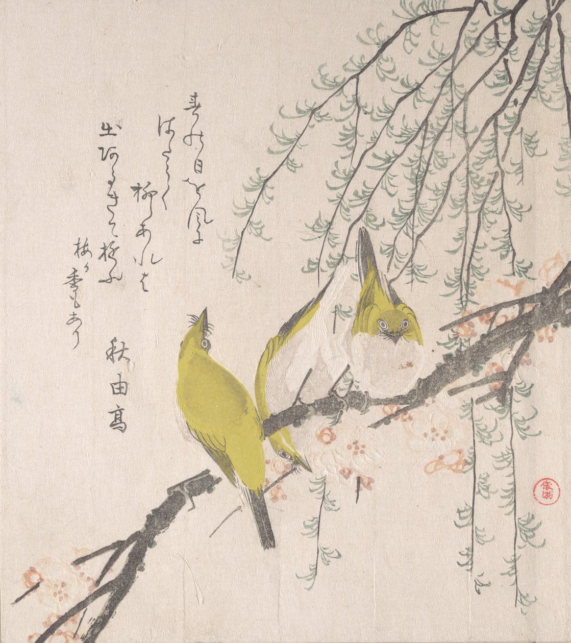 Japán fehérszemű szilvafával és fűzfával..., kb. 1810. alkotó: Kubo Shunman