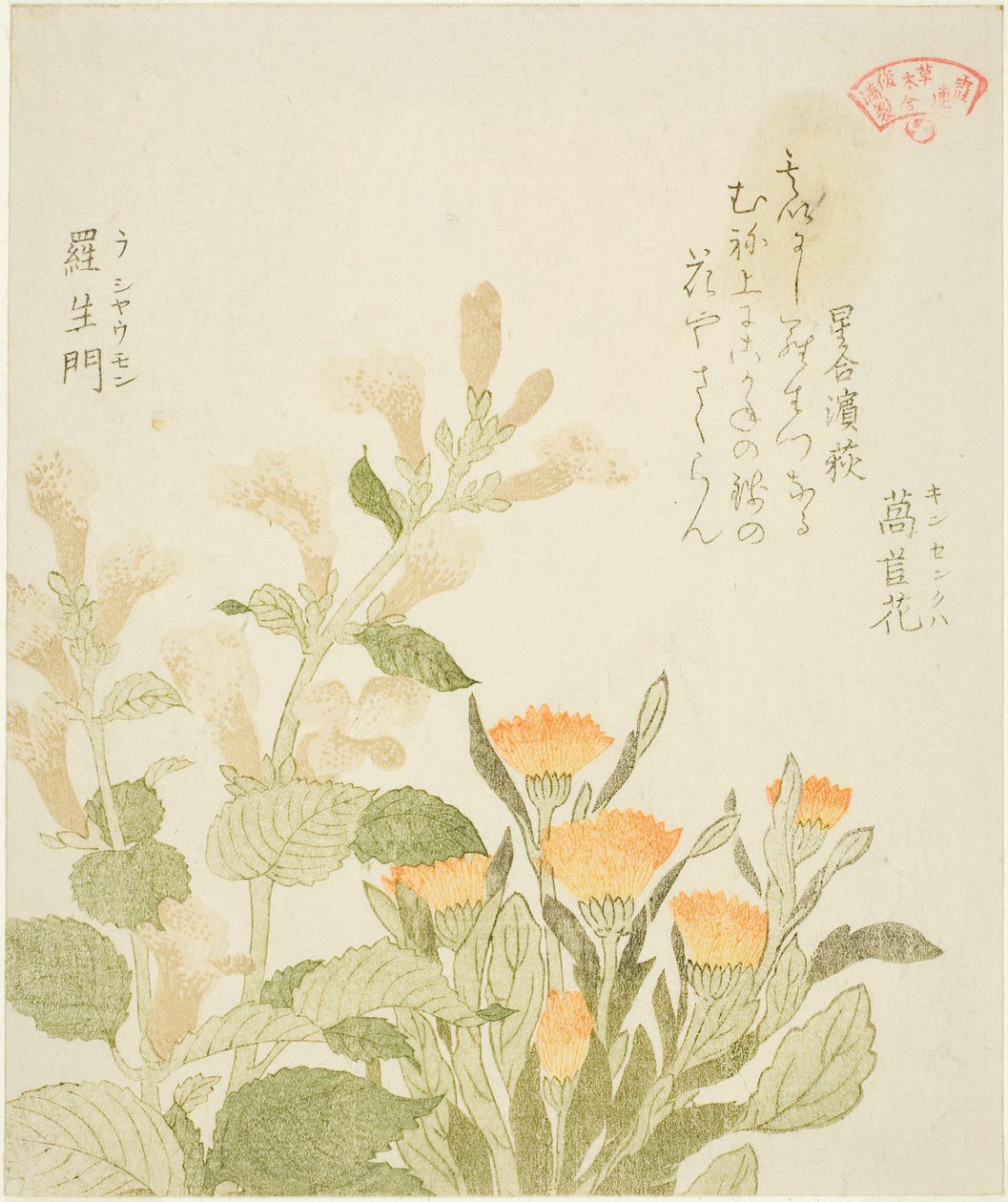 A Kasumi Költészeti Kör - Körömvirág (Kinsenka) és Rashomon Flowers alkotó: Kubo Shunman