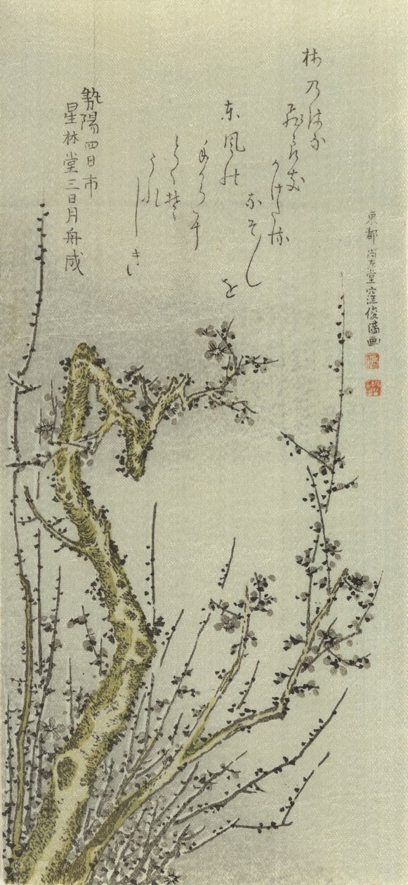 Öreg szilvafa, 1796. alkotó: Kubo Shunman