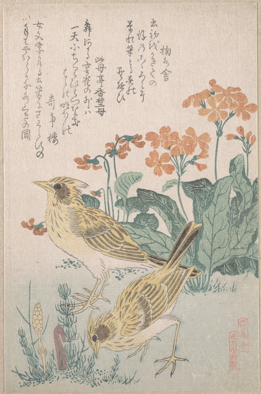 „Pacsirták és kankalinok” a „Madárcsoport” (Tori awase) sorozatból, a „Tavaszi eső” surimono-albumból (Harusame surimono-jō, 3. kötet) alkotó: Kubo Shunman