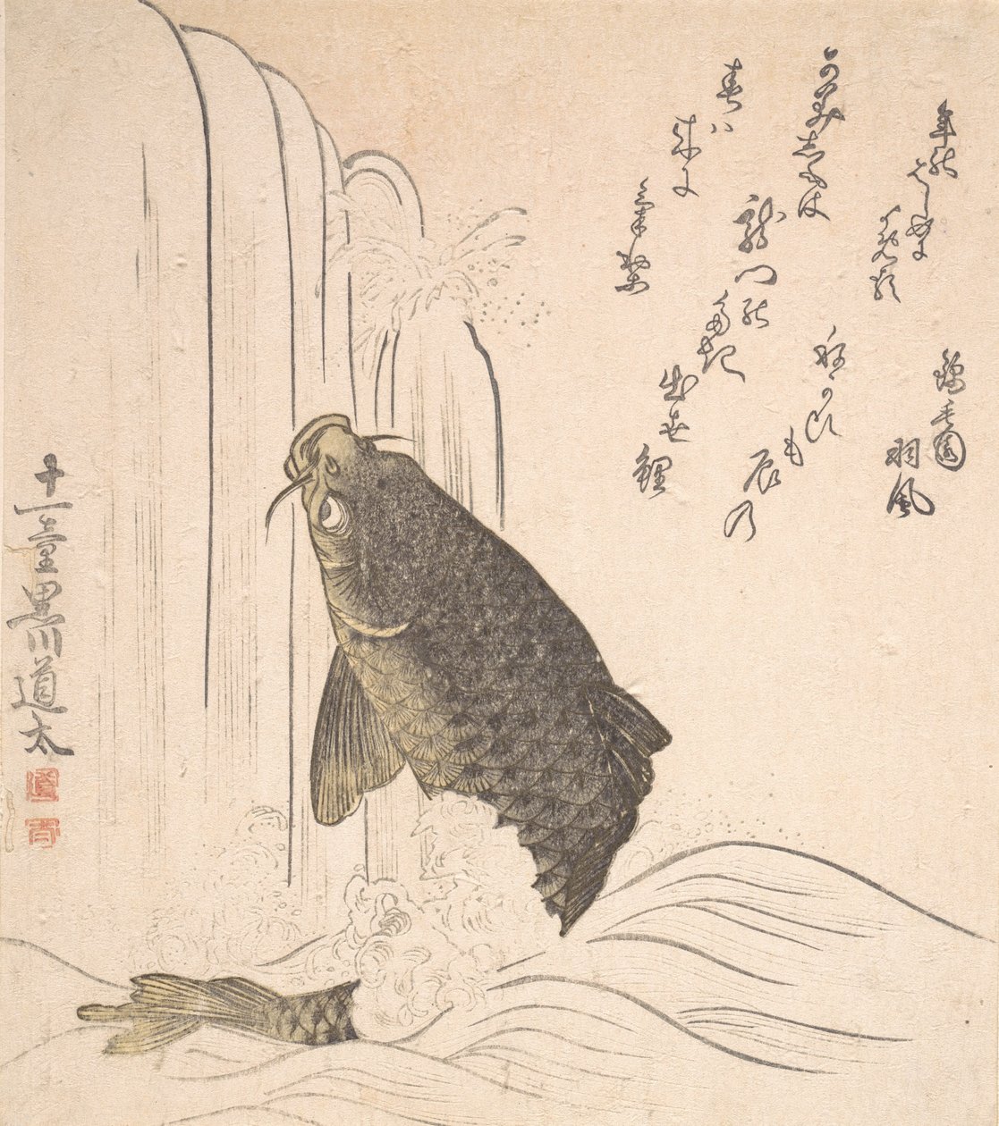 Ponty próbál felúszni egy vízesésen, valószínűleg 1820-ban. alkotó: Kurokawa Michita