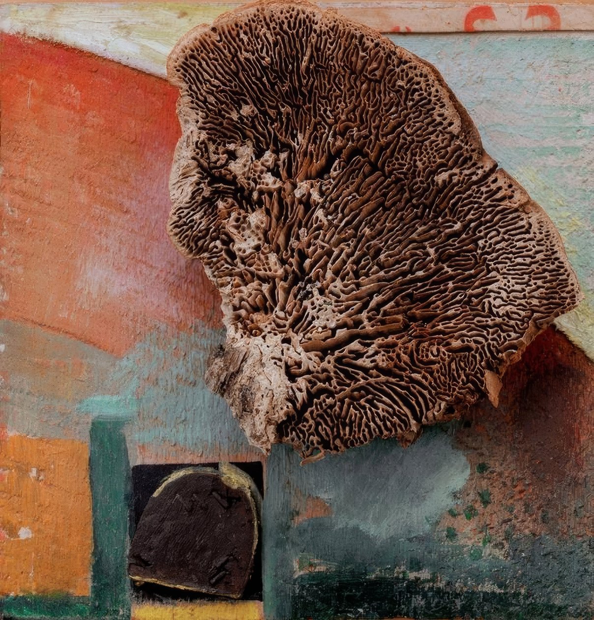 Cím nélkül (Merz kép korallal) alkotó: Kurt Schwitters