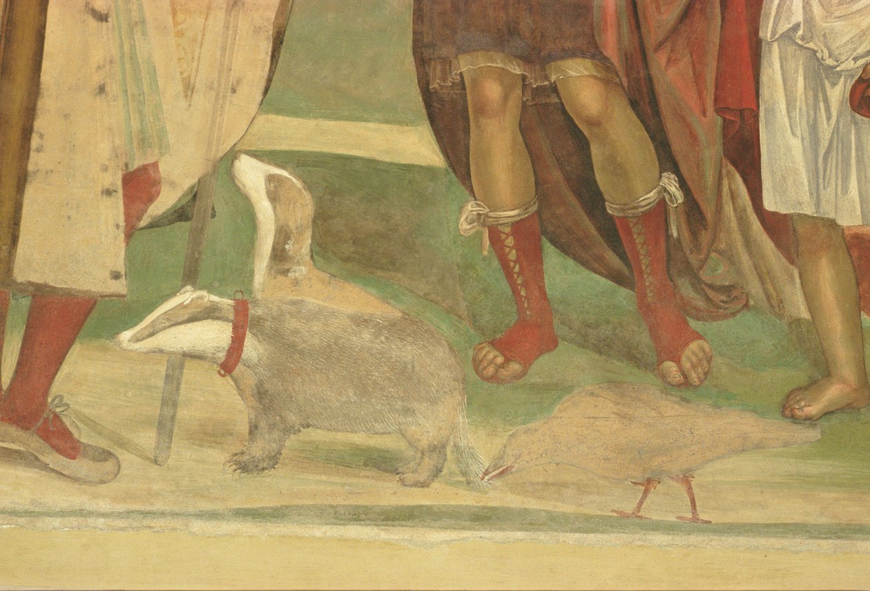 Szent Benedek élete (részlet) alkotó: L. and Sodoma, G. Signorelli