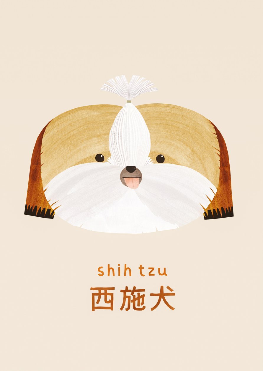 Shih tzu, 2019 alkotó: Léa Le Pivert