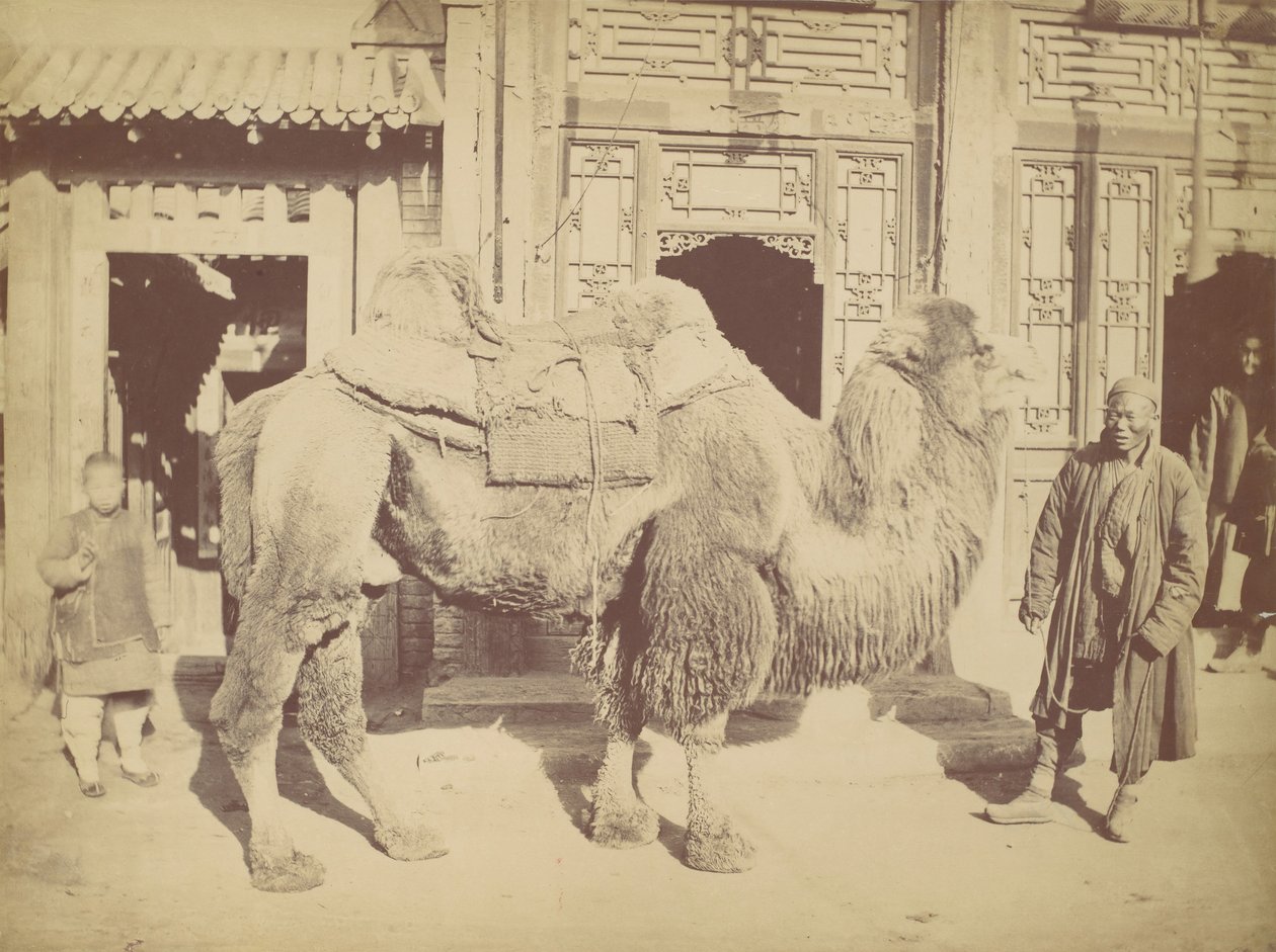Peking. nak,-nek. 923, 1867. alkotó: Lai Fong.