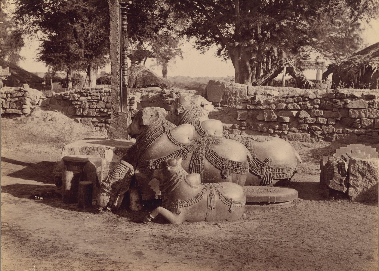 Bikák vagy Nadiák díszes faragványokkal oldalnézetben, Warangal, Hyderabad, Dekkán alkotó: Lala Deen Dayal