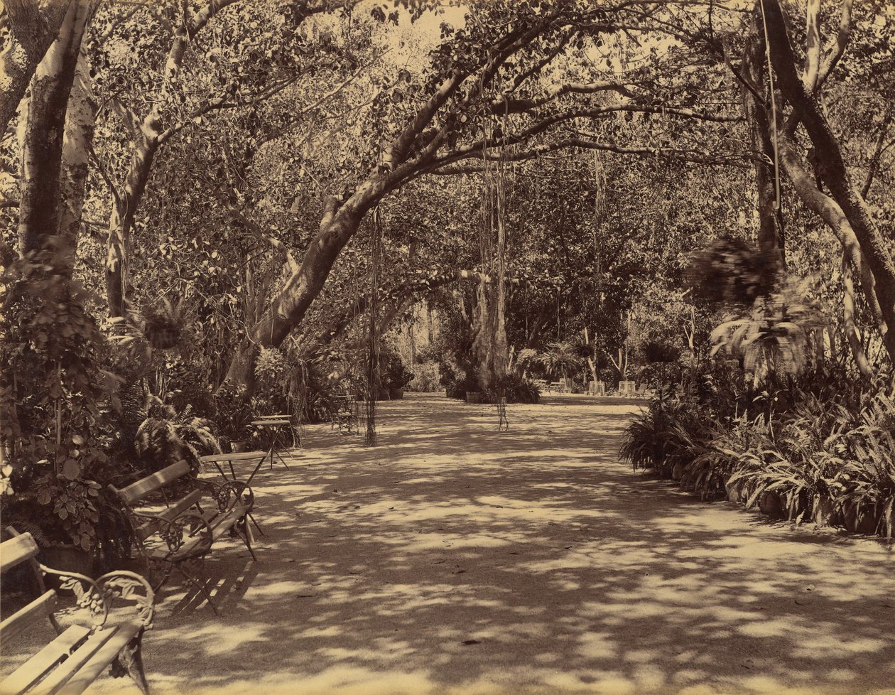 Sukh-Vilas palota kertje, 1880-90. alkotó: Lala Deen Dayal