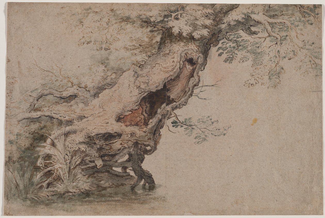 Hollow Tree, Roelant Savery nyomán alkotó: Lambert Doomer