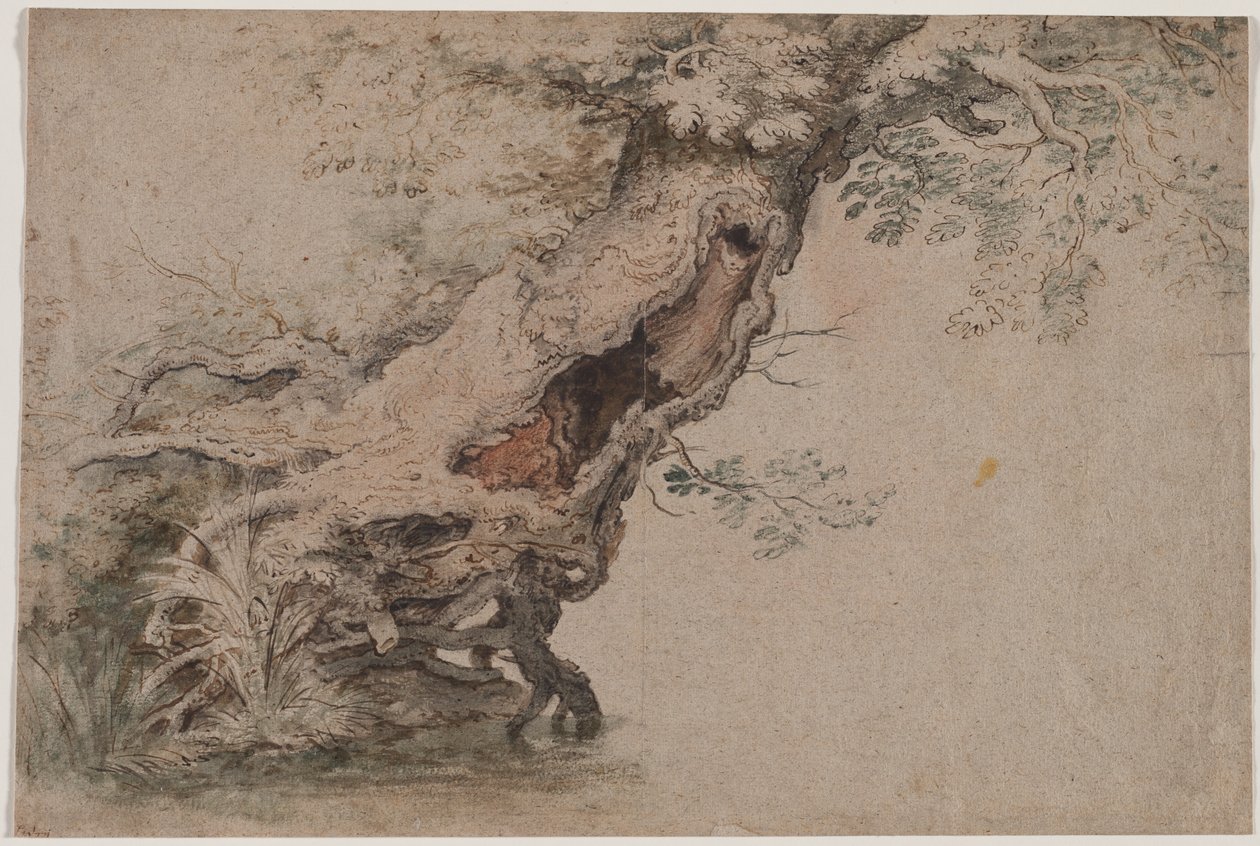 Hollow Tree, Roelant Savery nyomán, 1670 után. alkotó: Lambert Doomer