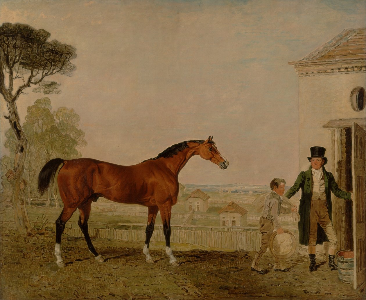 „Szultán” a burghley-i Exeter márki ménesében alkotó: Lambert Marshall