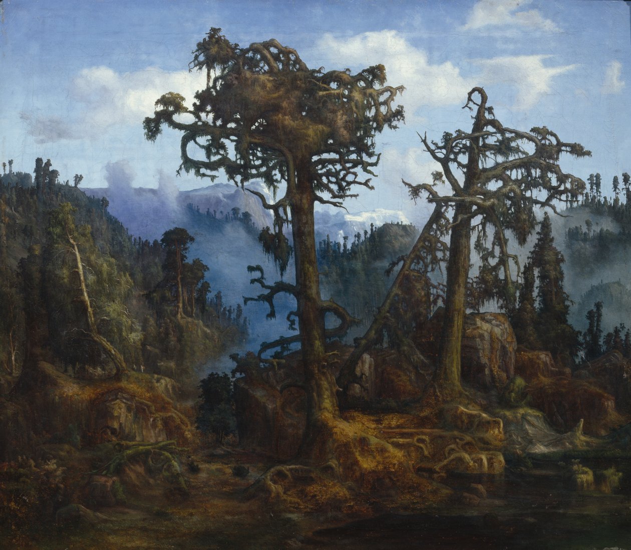 Old Pines   1407465   hu       hungarian Successfully Translated  Original: Part of the Rock Garden by the Upper Lake, Sandringham (colour litho) Translat: Part of the Rock Garden by the Upper Lake, Sandringham (colour litho) 1322141 hu hungarian Successfu alkotó: Lars Hertervig