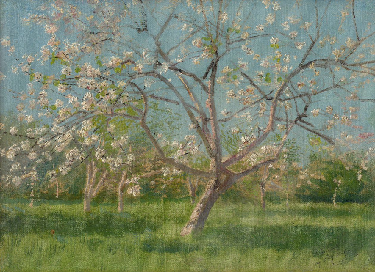 Virágzó gyümölcsös fák, 1900-10 alkotó: Laszlo Mednyanszky