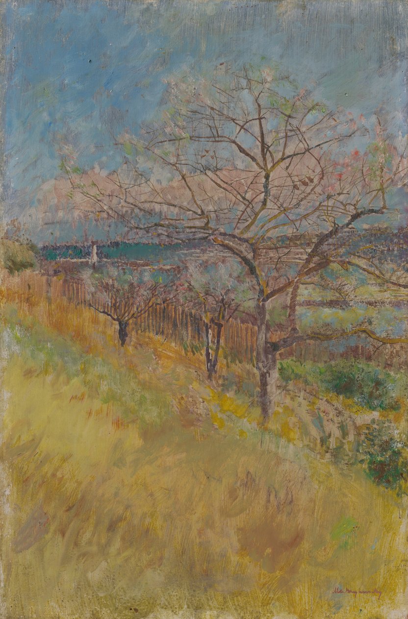 Völgy virágzó fákkal, 1890-1900 alkotó: Laszlo Mednyanszky