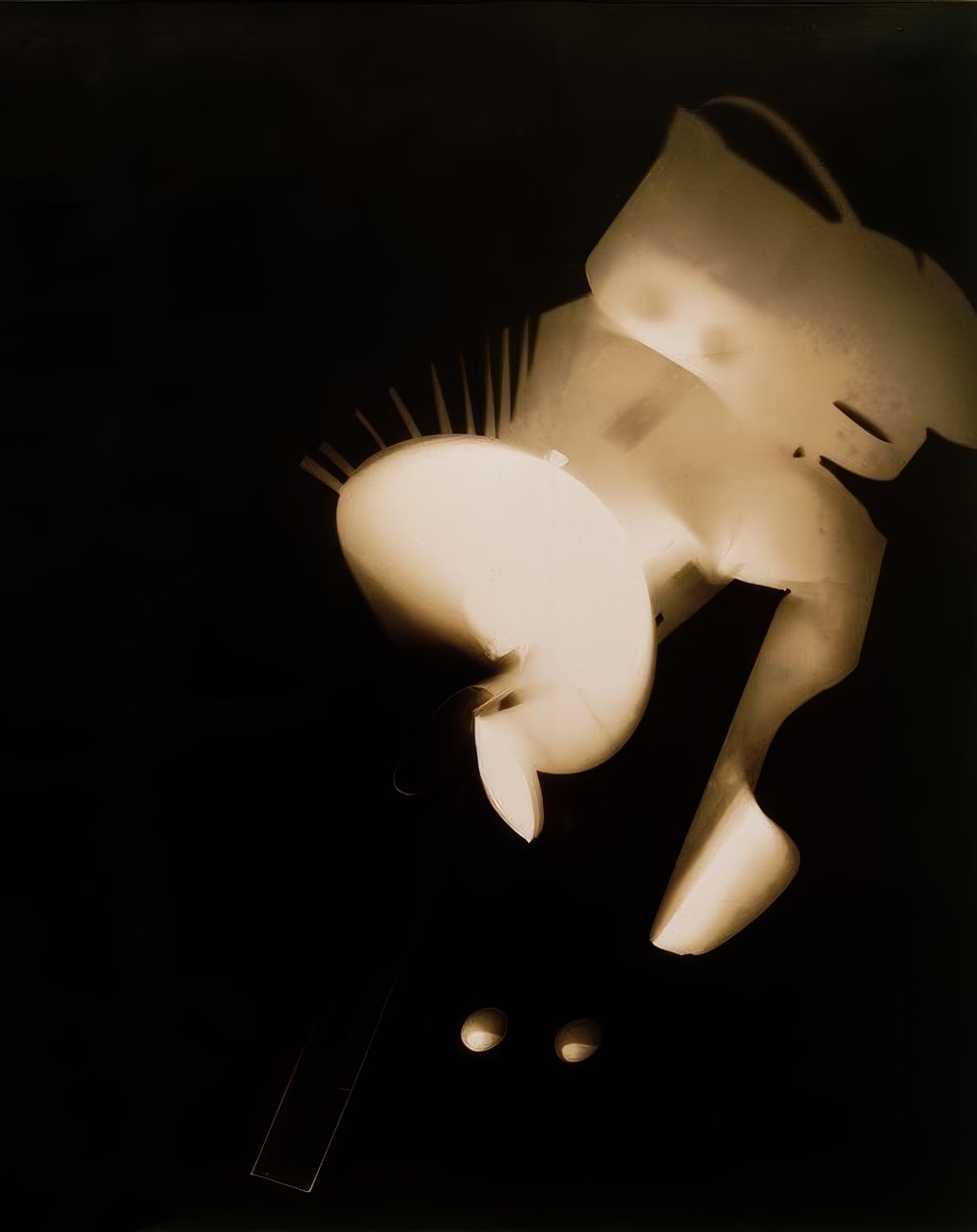 Névtelen alkotó: Laszlo Moholy Nagy
