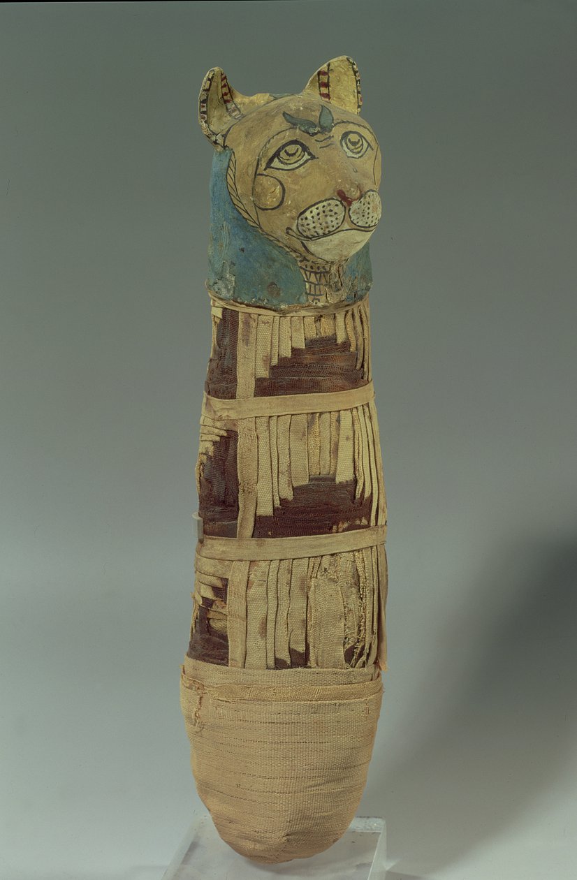 Mumifikált macska (stukkós és festett lenvászon) alkotó: Late Period Egyptian