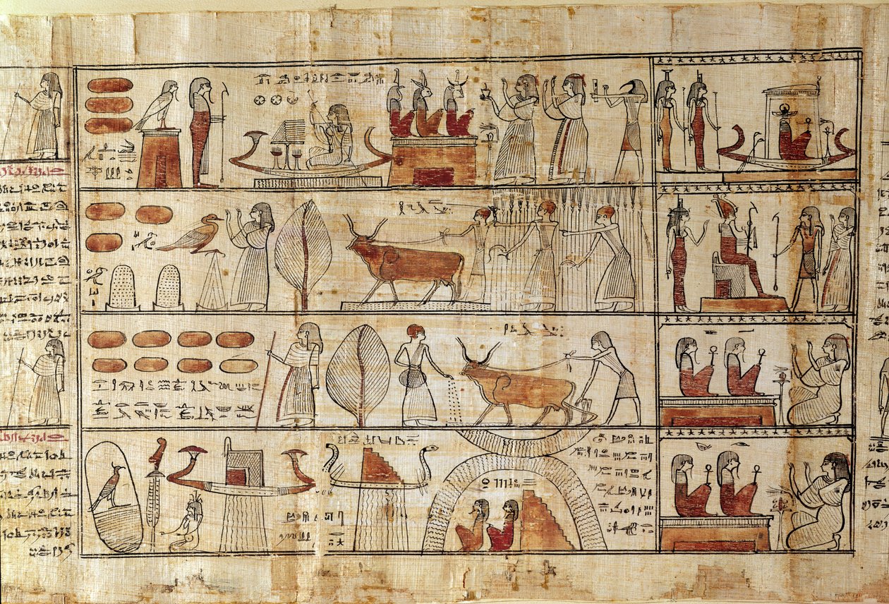 Mezőgazdasági jelenetek, részlet a Tsekhons halottak könyvéből (papirusz) alkotó: Late Period Egyptian